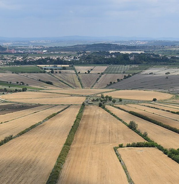 Vue spectaculaire en plongée depuis l'Oppidum d'Ensérune sur l'étang en étoile de Montady avec ses parcelles rayonnantes